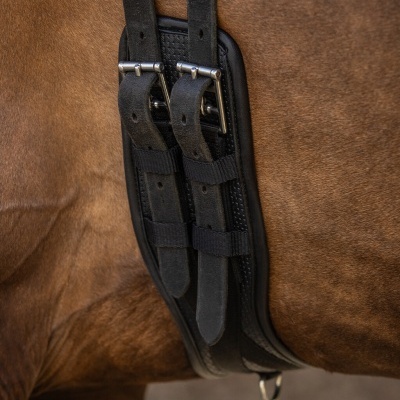 Cincha preta de pele com fivelas metálicas num cavalo castanho