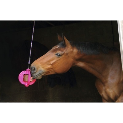 Cavalo castanho cheirando alimentador suspenso de plástico rosa