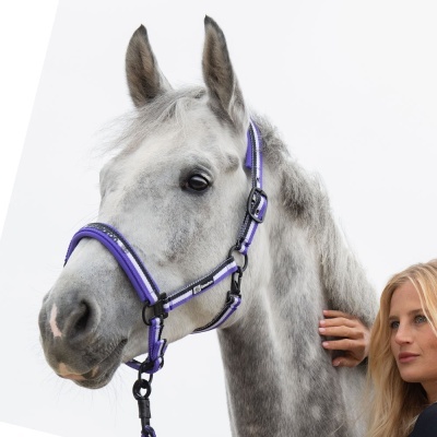 Cavalo cinzento com cabresto roxo e preto ao lado de mulher loira