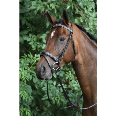 Cavalo castanho com cabresto preto e rédeas diante de folhagem verde