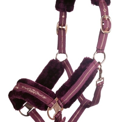 Cabresto para cavalo roxo com acolchoado em pelúcia e inscrições bordadas
