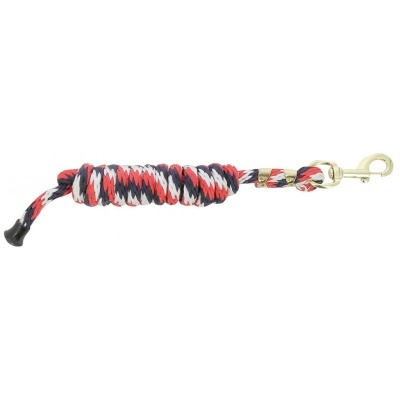 Trela para animal de estimação com corda trançada colorida e gancho metálico dourado