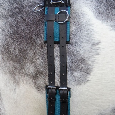 Cilha de cavalo azul e preta com fivelas e argolas metálicas no dorso de um cavalo
