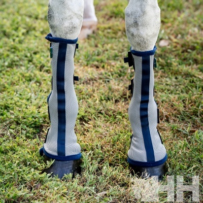 Patas traseiras de um cavalo branco com meias protetoras cinzentas e azuis sobre grama.