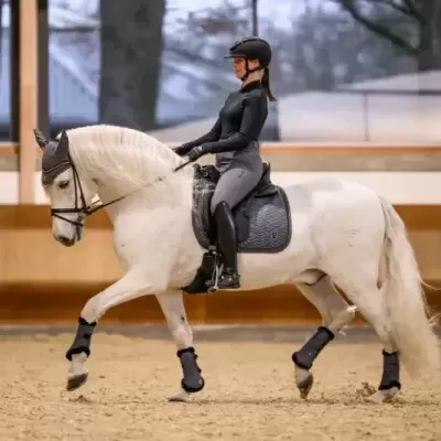 Cavaleira em cavalo branco com acessórios pretos em picadeiro com paredes de madeira e janelas largas