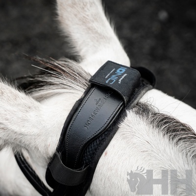 Protetor auricular preto em couro e tecido para cavalo com velcro.