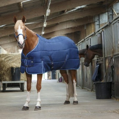 Cavalo com manta azul acolchoada num estábulo