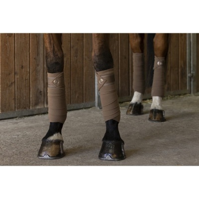 Pernas de cavalo com ataduras castanhas elásticas e cascos sobre piso de cimento