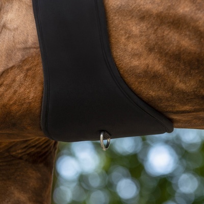 Protector preto em tecido com argola metálica sobre cavalo castanho