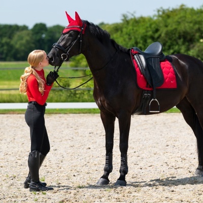 Cavalo preto com equipamento de equitação vermelho e preto ao ar livre com cavaleira vestindo roupa de equitação vermelha e preta.