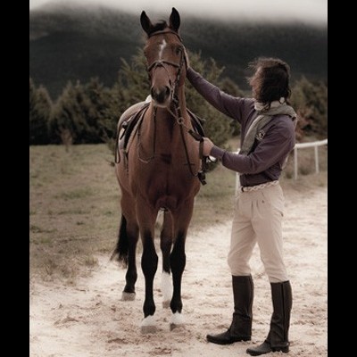 Cavaleiro com cavalo num terreno de areia junto a árvores e montanhas