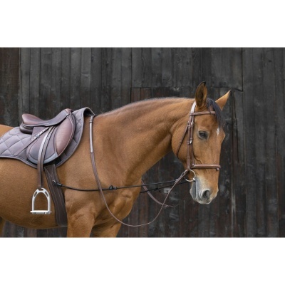 Cavalo castanho com sela de montaria castanha