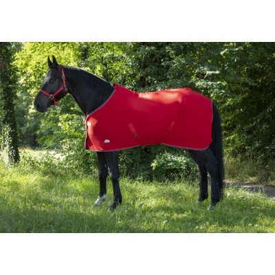 Cavalo preto com manta vermelha em ambiente exterior