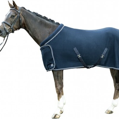 Cavalo com manta azul escura e cabresto preto com rédeas brancas