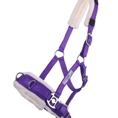 Cabresto para cavalo roxo com almofadas brancas e prata