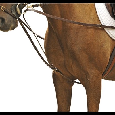 Cavalo castanho com sela e cabresto de couro castanho e almofada branca acolchoada