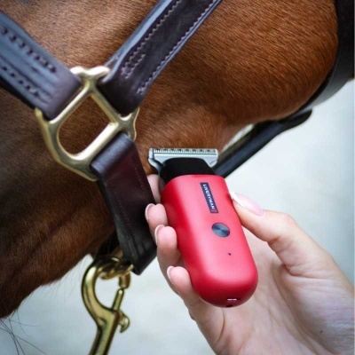 Máquina de tosquiar cavalo vermelha em uso junto à pelagem castanha e rédea de couro.