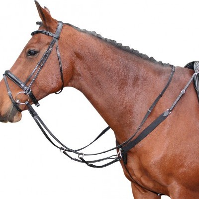 Cavalo castanho montado com embocadura, peitoral e rédeas pretas