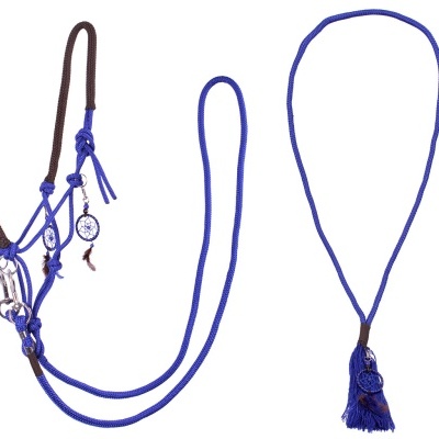 Cabresto e guia para cavalo azul e castanho com acessórios decorativos