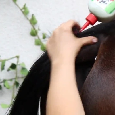 Pessoa aplicando produto na cauda de um cavalo castanho ao ar livre