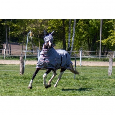 Cavalo com manta branca com riscas vermelhas e pretas num campo verde