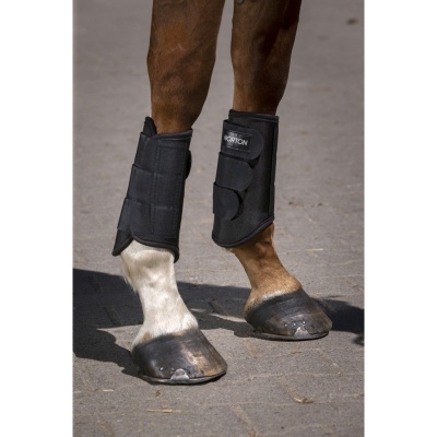 Pernas de cavalo com botas pretas de proteção visíveis