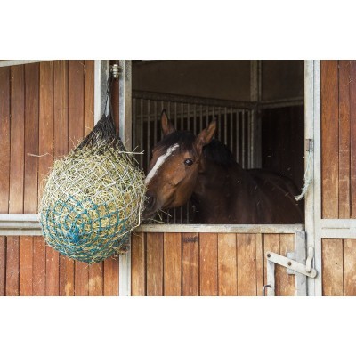 Redecilla azul para feno pendurada na porta de madeira de estábulo com dois cavalos castanhos
