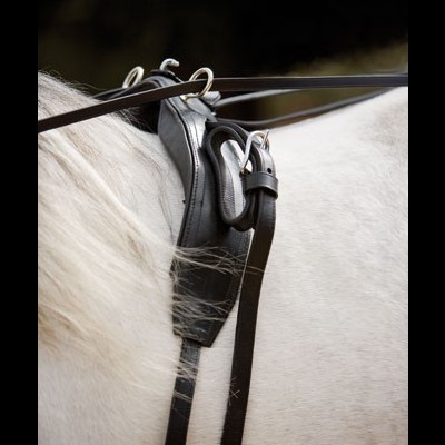 Arnês de couro preto com fivelas metálicas sobre cavalo branco