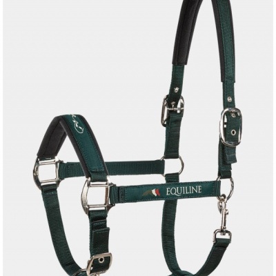 Cabresto para cavalo verde escuro com almofadado e fivelas metálicas