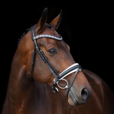 Cavalo castanho com cabresto preto e branco com pedraria