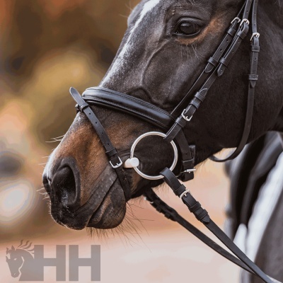 Bridão preto de couro em cavalo castanho com manchas brancas