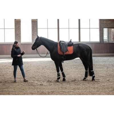 Cavalo com sela preta e manta laranja ao lado de mulher em picadeiro