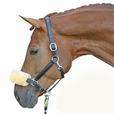 Cavalo castanho com cabresto preto e protetor amarelo no focinho