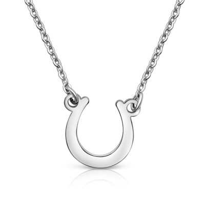 Colar com pendente de ferradura em metal prateado