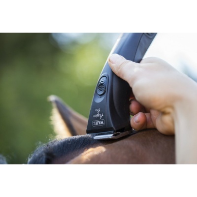 Máquina de tosquiar WAHL Adelar 750 a ser usada num cavalo castanho