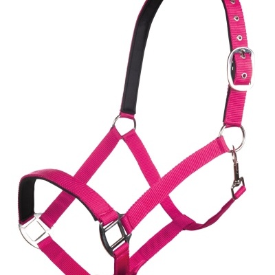 Cabresto para cavalo rosa com ajustes metálicos e alça acolchoada