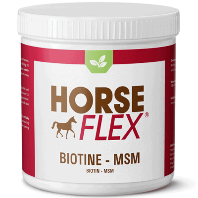 Frasco de suplemento Horse Flex Biotine MSM com rótulo branco e vermelho