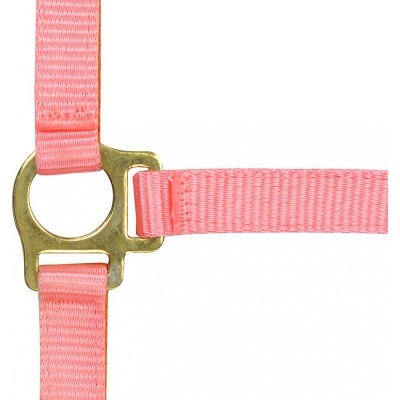 Cinta rosa com fivela metálica dourada