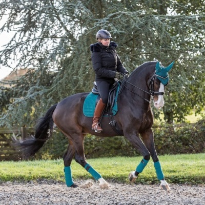 Cavalo castanho com mantilha e proteção turquesa montado por cavaleiro com roupa preta e botas castanhas