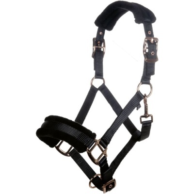 Cabeçada preta para cavalo com veludo e fivelas metálicas douradas