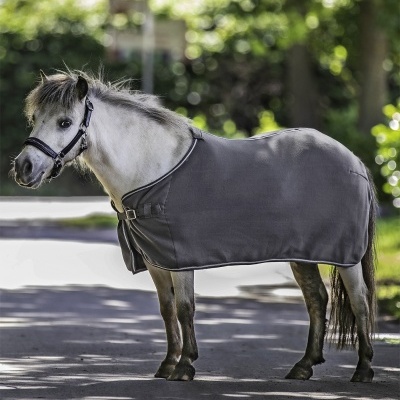 Cavalo pequeno com manta cinzenta junto a árvores