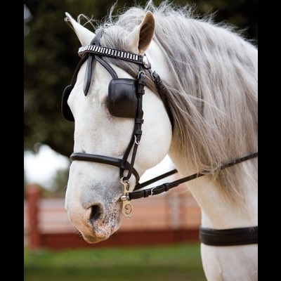 Cavalo branco com arreio preto e venda acolchoada nos olhos