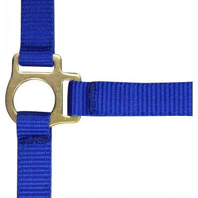 Correia azul com fivela metálica dourada