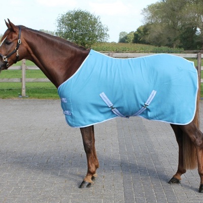 Cavalo com manta azul clara em área exterior