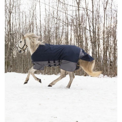 Cavalo branco a trotar na neve com manta azul e cinza