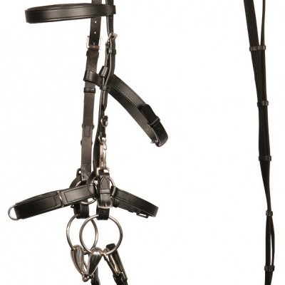 Freio e rédea de cavalo em couro preto com fivelas metálicas prateadas