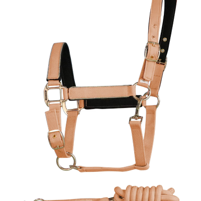Cabeção e cabresto para cavalo em nylon bege e preto com fivelas douradas e cuerda acompanhada