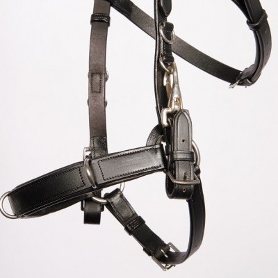 Arreio de cavalo em couro preto com fivelas metálicas