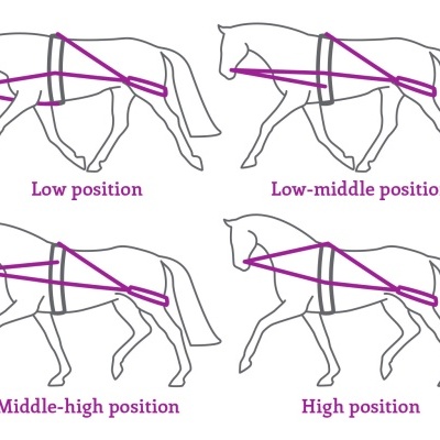 Ilustração com quatro desenhos de cavalos em várias posições com cintas e alças coloridas e textos a descrever as posições.