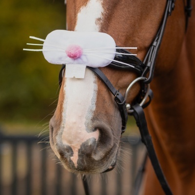 Máscara branca com pompom rosa e bigodes artificiais num cavalo castanho